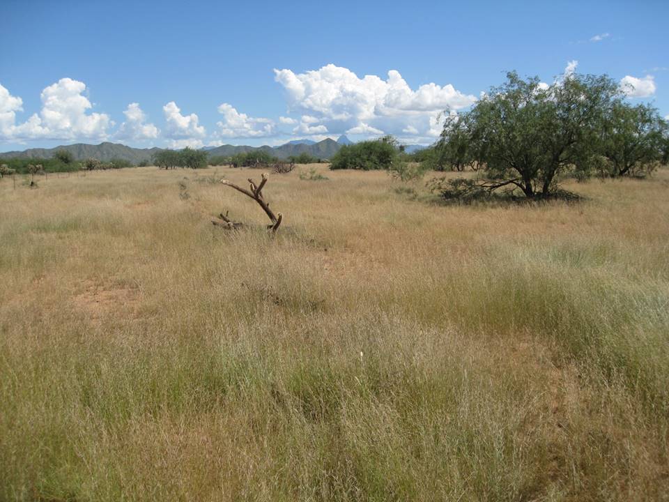 Figure 7-31